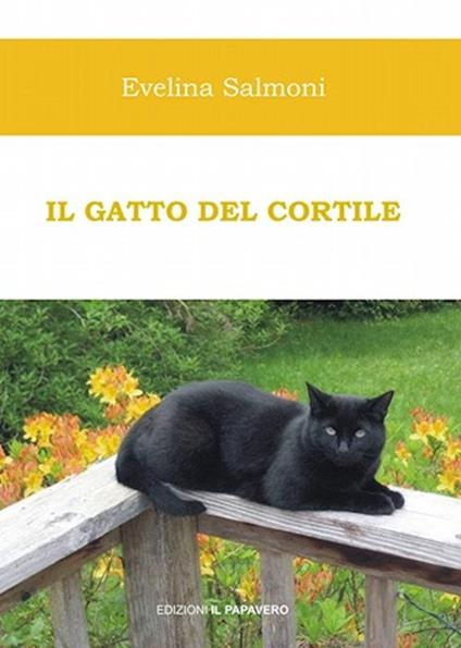 Il gatto del cortile - Evelina Salmoni - copertina