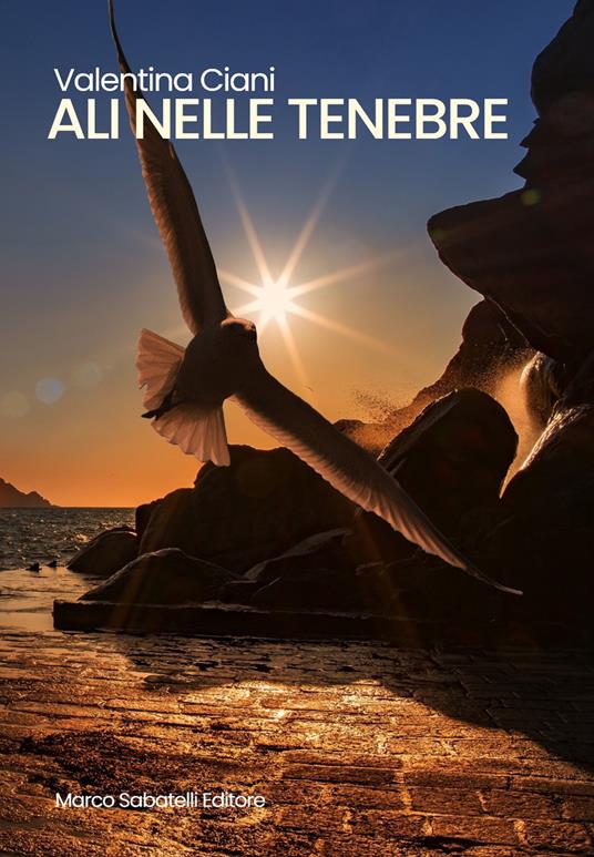 Ali nelle tenebre - Valentina Ciani - copertina