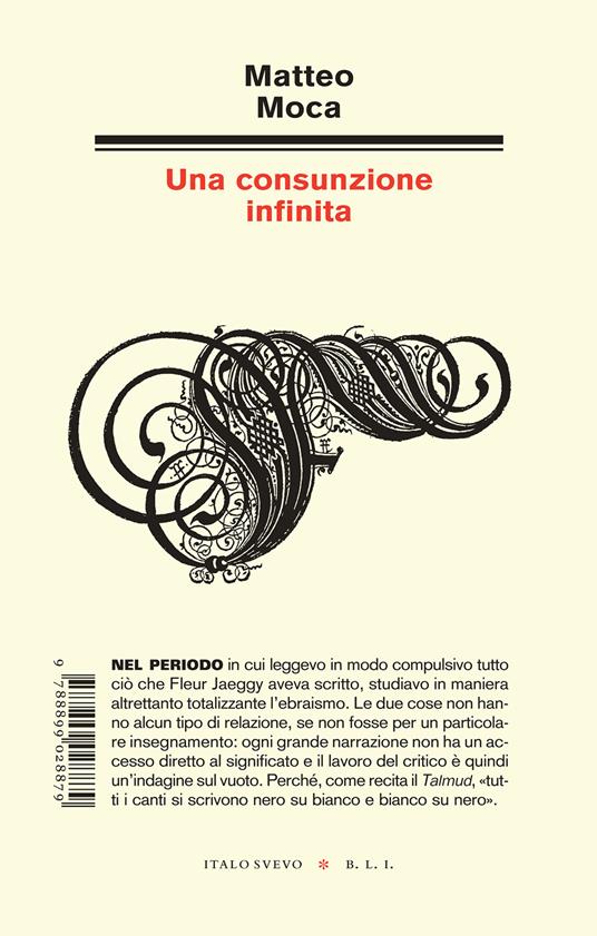 Una consunzione infinita - Matteo Moca - copertina