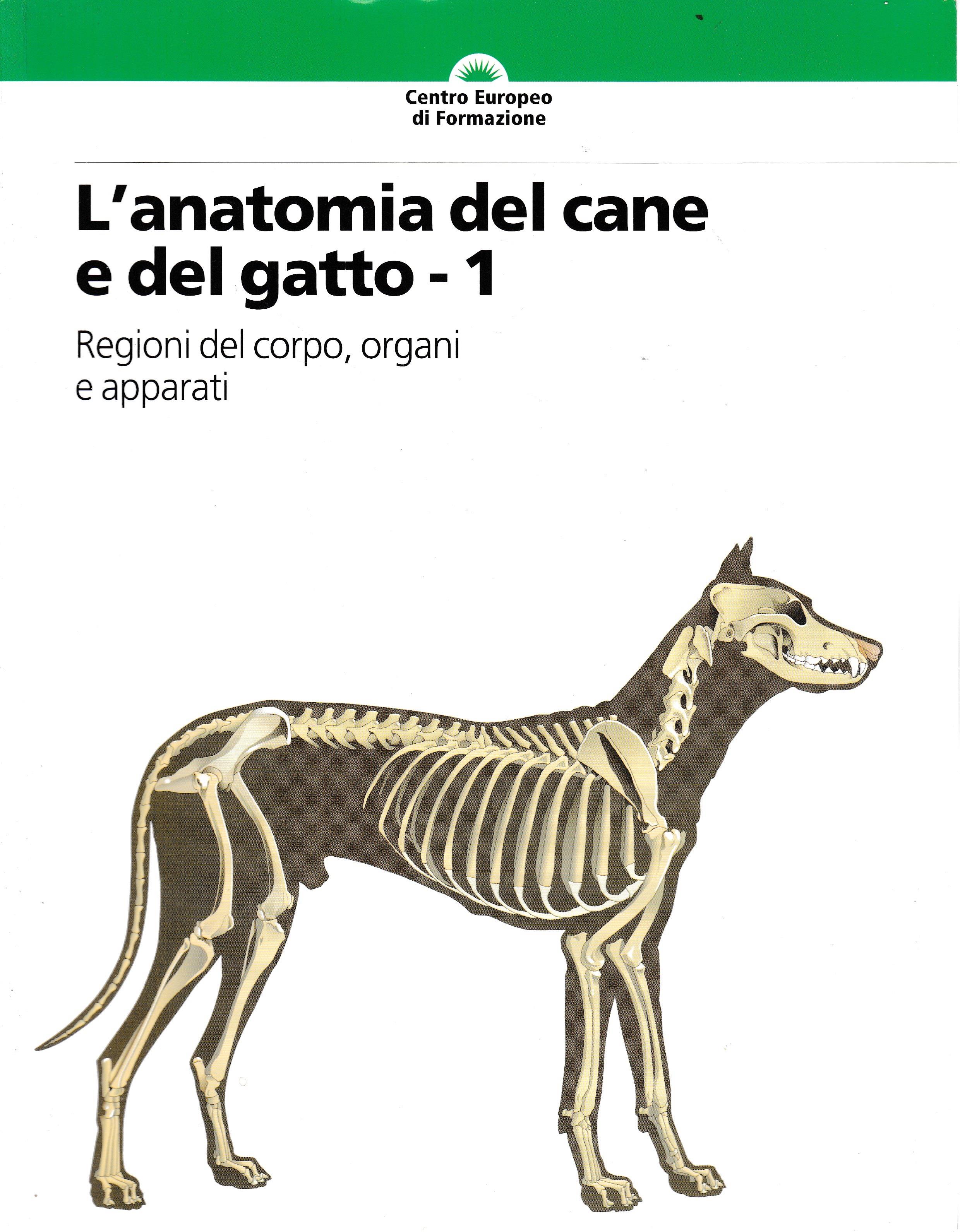 Librisaggi