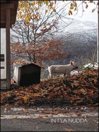 In t'la nudda. Ediz. illustrata - copertina