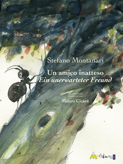 Un amico inatteso-Ein unerwarteter Freund - Stefano Montanari - copertina