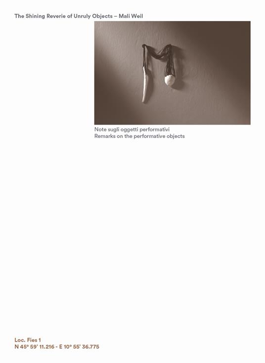 The shining reverie of unruly objects - Mali Weil - copertina