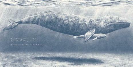 Piccola balena. Ediz. a colori - Jo Weaver - 2