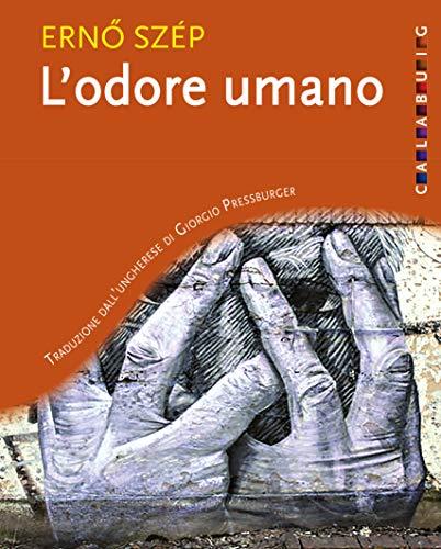 Libreria Serendipity