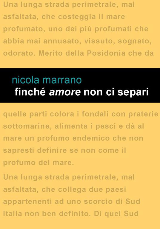 Finché amore non ci separi - Nicola Marrano - copertina