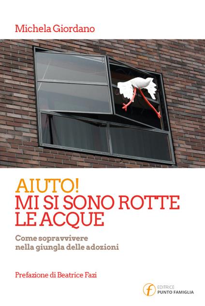 Aiuto! Mi si sono rotte le acque. Come sopravvivere nella giungla delle adozioni - Michela Giordano - copertina