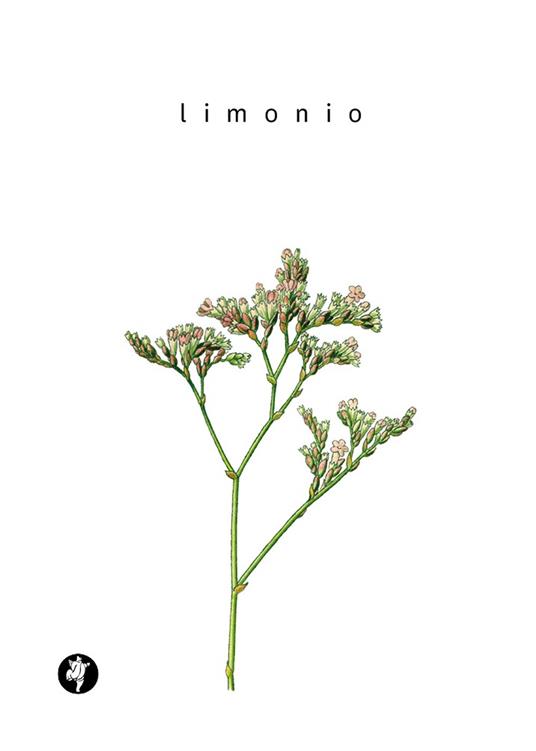 Limonio - Antonio Lillo - copertina