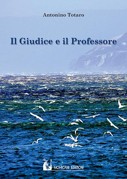 Il giudice e il professore - Antonino Totaro - copertina