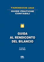 Guida al rendiconto del bilancio. Vademecum 2019. Vol. 3