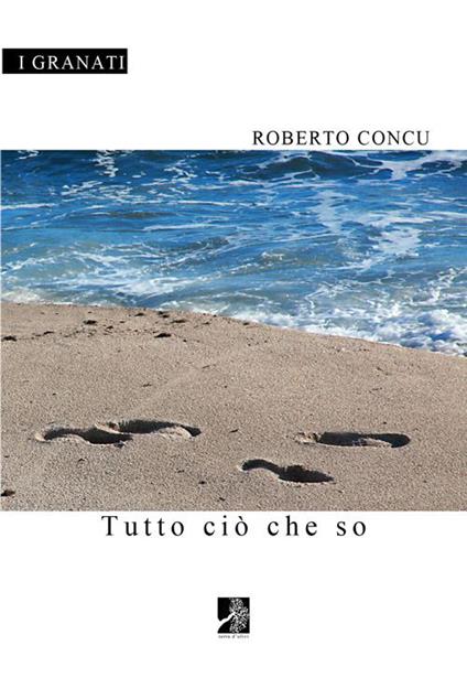 Tutto ciò che so - Roberto Concu - copertina