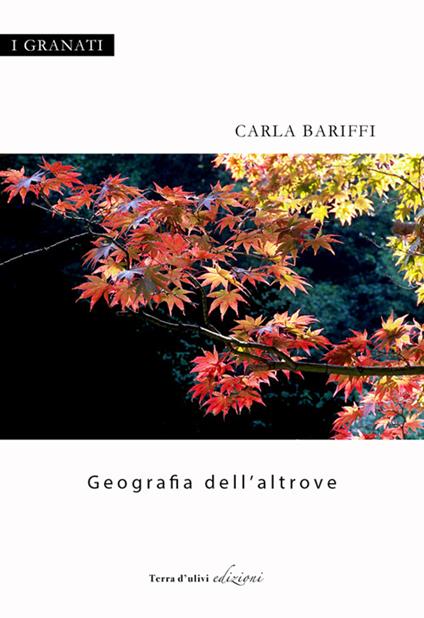 Geografia dell'altrove - Carla Bariffi - copertina