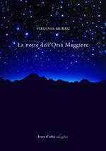 La notte dell'Orsa Maggiore