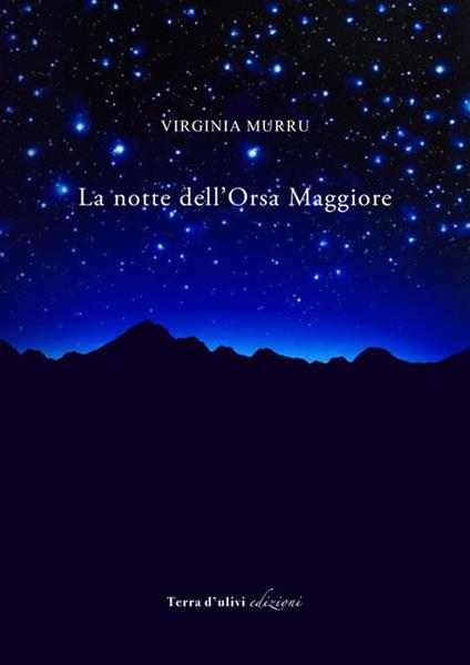 La notte dell'Orsa Maggiore - Virginia Murru - copertina