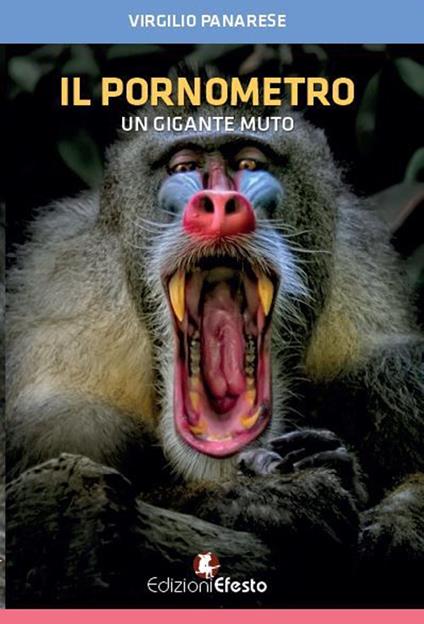 Il pornometro. Un gigante muto - Virgilio Panarese - copertina