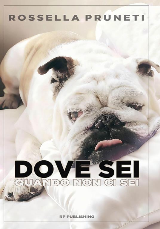 Dove sei quando non ci sei. Ho amato un cane. E sono diventata umana - Rossella Pruneti - copertina