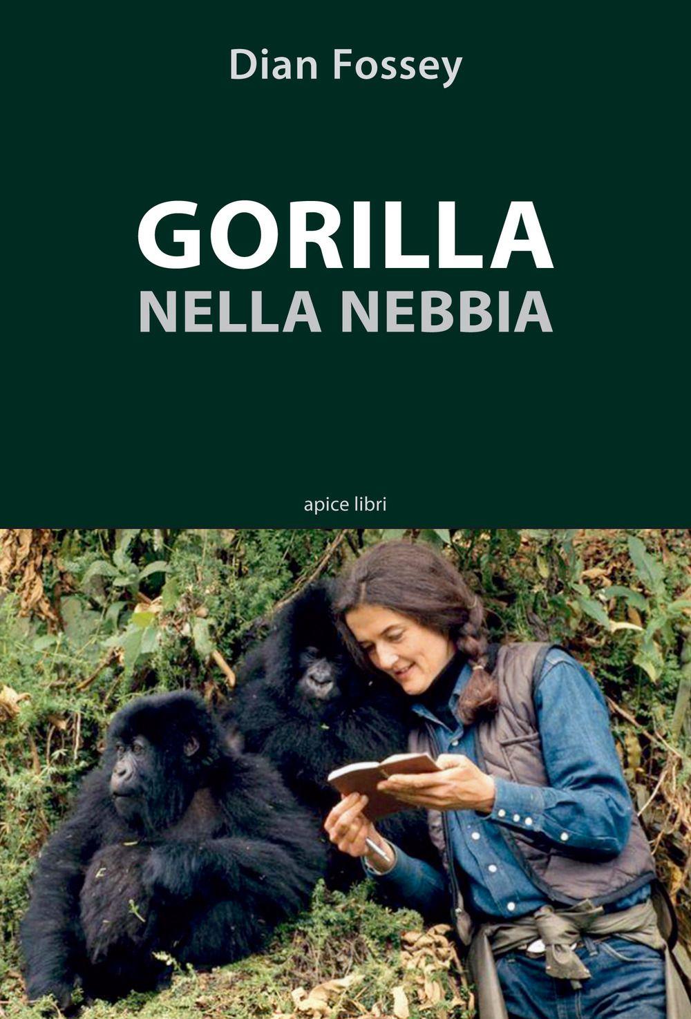 Emozioni Media Store