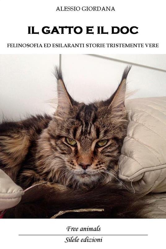 Il gatto e il doc. Felinosofia ed esilaranti storie tristemente vere - Alessio Giordana - copertina