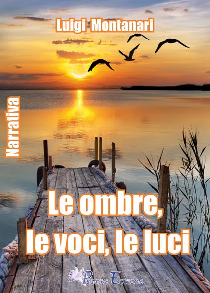 Le ombre, le luci, le voci - Luigi Montanari - copertina