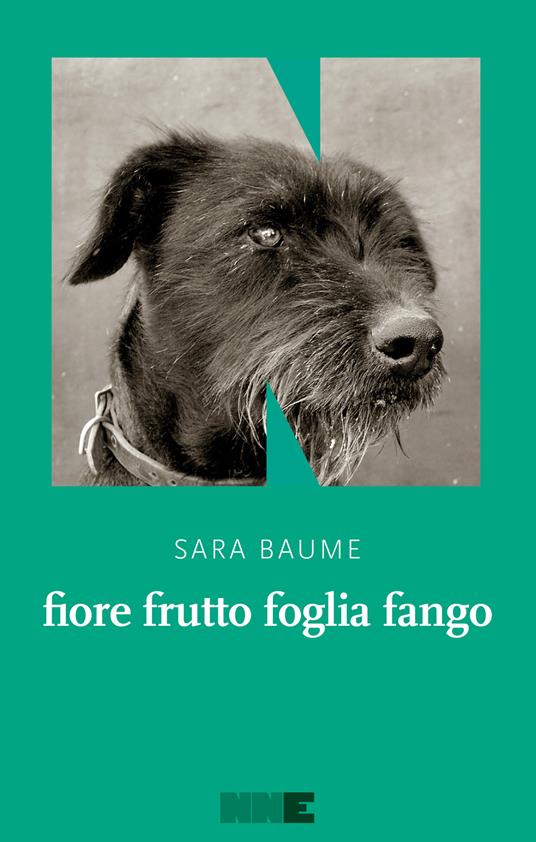 fiore frutto foglia fango - Sara Baume,Ada Arduini - ebook
