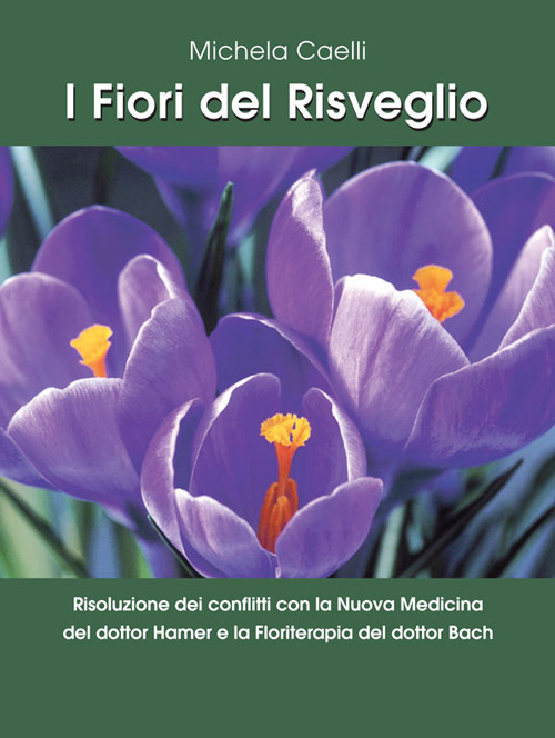 Libraccio