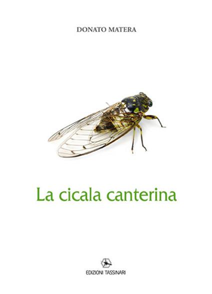 La cicala canterina - Donato Matera - copertina