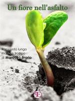 Un fiore nell'asfalto