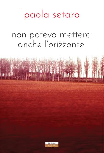 Non potevo metterci anche l'orizzonte. Nuova ediz. - Paola Setaro - copertina