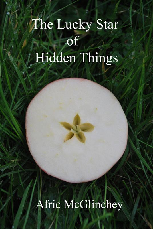 La buona stella delle cose nascoste - Afric McGlinchey - copertina