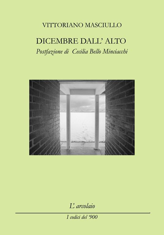 Dicembre dall'alto - Vittoriano Masciullo - copertina