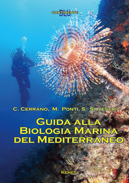 Guida alla biologia marina del Mediterraneo - Carlo Cerrano,Massimo Ponti,Stefano Silvestri - copertina