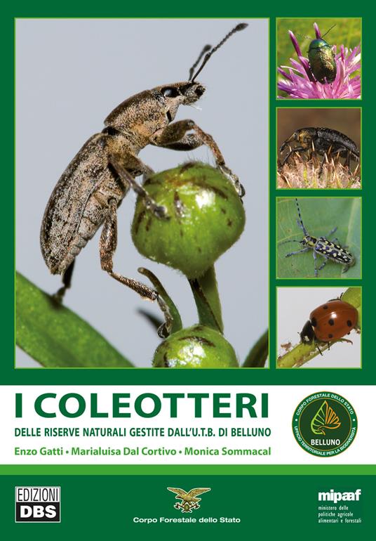 I coleotteri. Delle riserve naturali gestite dall'U.T.B. di Belluno - Enzo Gatti,Marialuisa Dal Cortivo,Monica Sommacal - copertina