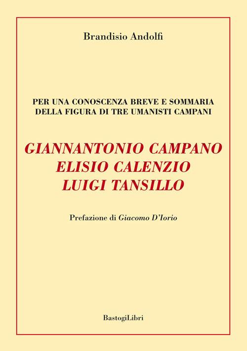 Giannantonio Campano, Elisio Calenzio, Luigi Tansillo. Per una conoscenza breve e sommaria della figura di tre umanisti campani - Brandisio Andolfi - copertina