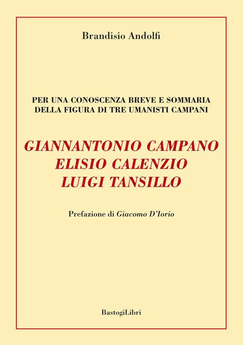 Giannantonio Campano, Elisio Calenzio, Luigi Tansillo. Per una conoscenza breve e sommaria della figura di tre umanisti campani - Brandisio Andolfi - copertina