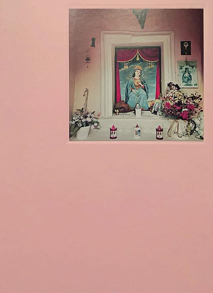 Aedes. Ediz. illustrata - Antonella Renzi - copertina