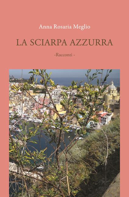 La sciarpa azzurra - Anna Rosaria Meglio - copertina