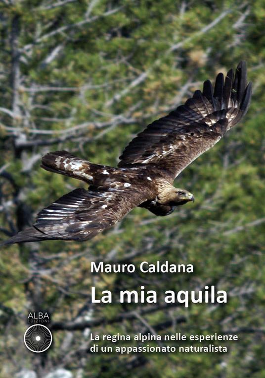 La mia aquila. La regina alpina nelle esperienze di un appassionato naturalista - Mauro Caldana - copertina