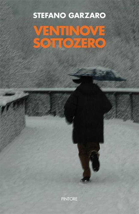 Ventinove sottozero - Stefano Garzaro - copertina