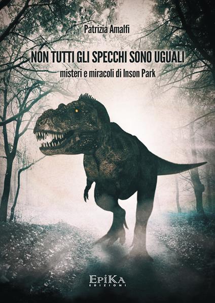 Non tutti gli specchi sono uguali. Misteri e miracoli di Inson Park - Patrizia Amalfi - copertina