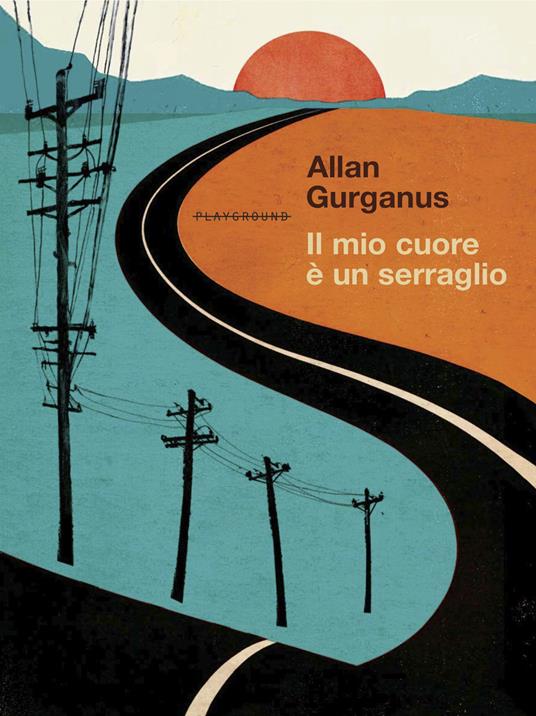 Il mio cuore è un serraglio - Allan Gurganus - copertina