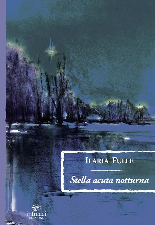 Stella acuta notturna - Ilaria Fulle - copertina