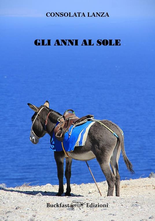 Gli anni al sole - Consolata Lanza - copertina