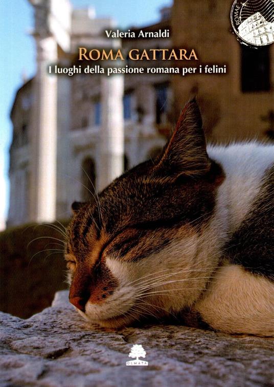 Roma gattara - Valeria Arnaldi - copertina