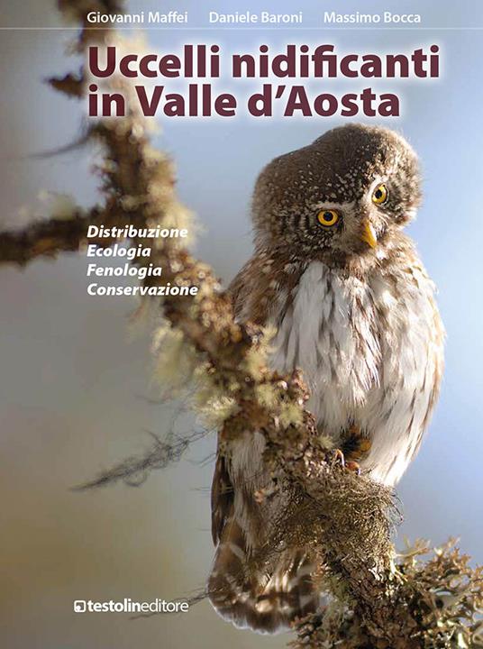 Uccelli nidificanti in Valle d'Aosta. Distribuzione ecologia fenologia conservazione. Ediz. illustrata - Giovanni Maffei,Massimo Bocca,Daniele Baroni - copertina