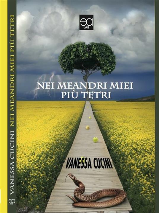 Nei meandri miei più tetri - Vanessa Cucini - copertina