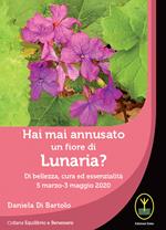 Hai mai annusato un fiore di Lunaria? Di bellezza, cura ed essenzialità 5 marzo-3 maggio 2020