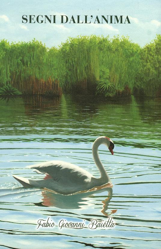 Fabio Giovanni Baietta. Segni dall'anima. Ediz. illustrata - copertina