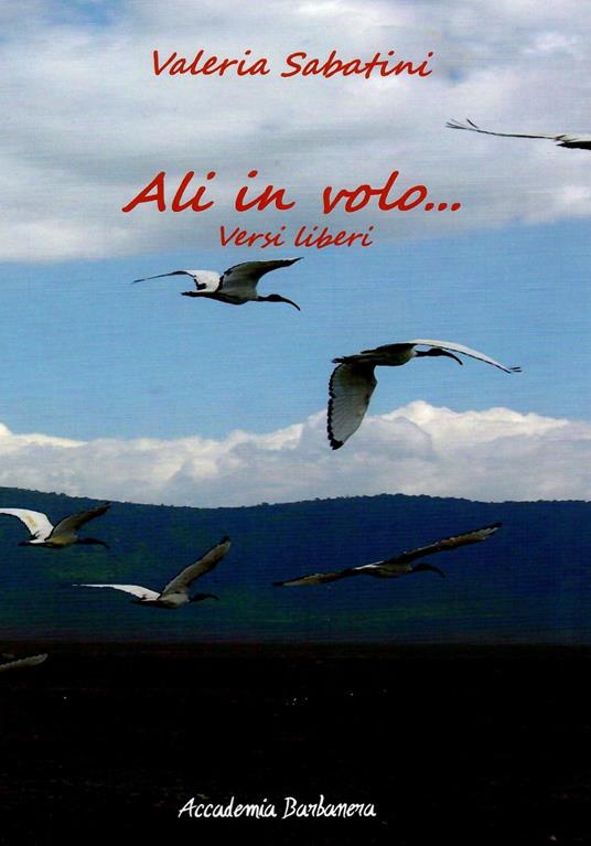 Ali in volo. Versi liberi - Valeria Sabatini - copertina