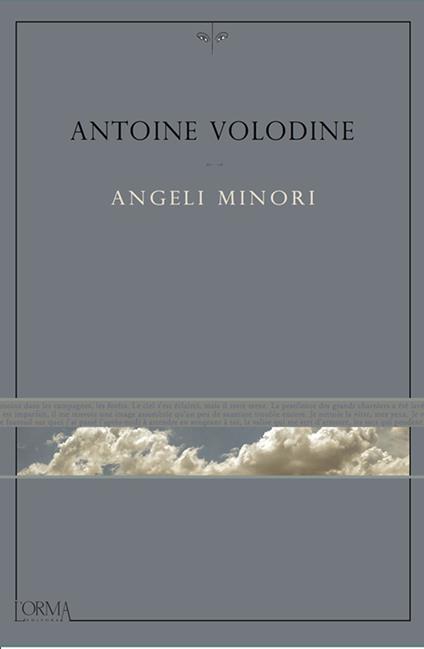 Angeli minori - Antoine Volodine,Albino Crovetto - ebook