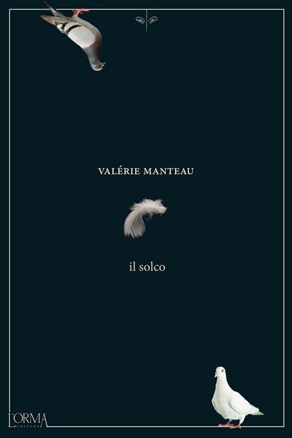 Il solco - Valérie Manteau,Sabina Terziani - ebook